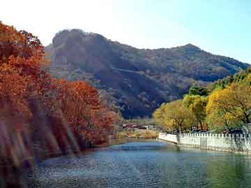 新澳天天开奖资料大全旅游团，水城seo程序